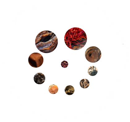 Ingredients used in sunrise to sunset perfume